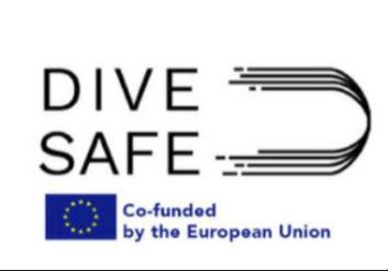 Divesafe project is approved. Project will start in 2019