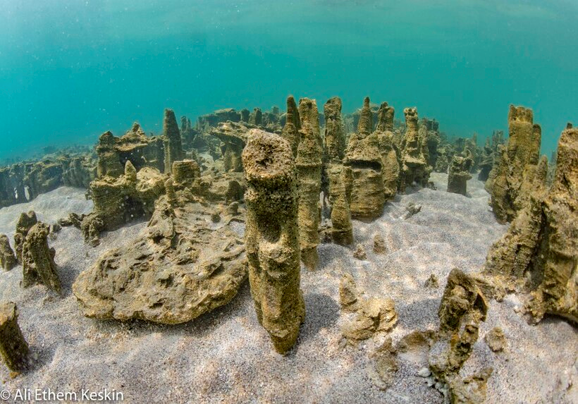 Photogrammetry of Microbialites at Lake Van