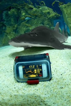 Divephone 4